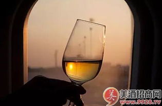 中國酒精飲料進口市場 繁榮景象背后的消費升級與多元選擇